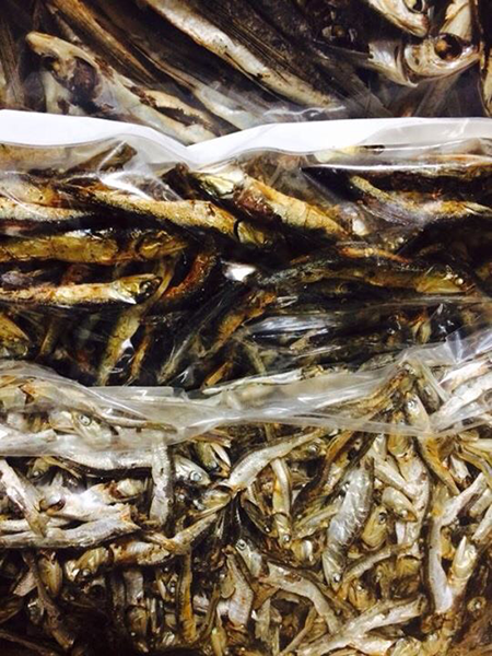 ランチタイム限定らーめん 恵本 将裕